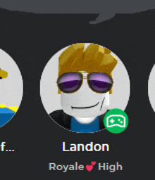 a picture of a man with sunglasses and the name landon royale high