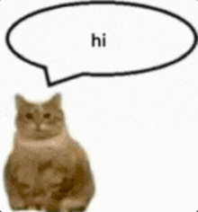 a cat is sitting with a speech bubble that says hi .