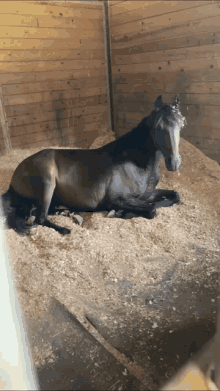 a horse laying on a pile of wood chips in a stable