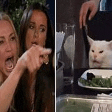 a woman is pointing at a cat while sitting at a table with a plate of food .