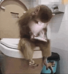 a monkey is sitting on a toilet with a cell phone in its mouth .