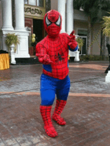 a person dressed in a spiderman costume is standing on a sidewalk