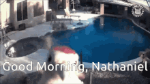 a dog standing in front of a pool with the words good morning nathaniel