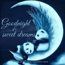 two panda bears are sleeping on a crescent moon with the words `` goodnight and sweet dreams '' .