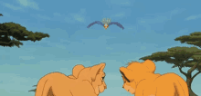 a cartoon lion and lioness are looking at a bird flying in the sky