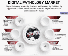 digital pathology market by products and services by end user by application - global industry share growth competitive analysis and forecast 2018-2023