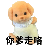 a teddy bear with chinese characters on it