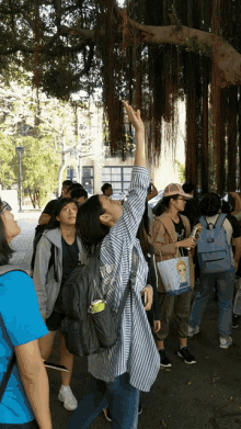 a group of people looking up at a tree with a woman holding a bag that says ' aoo ' on it