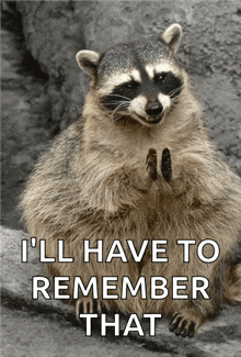 a raccoon sitting on a rock with the words " i 'll have to remember that " written below it