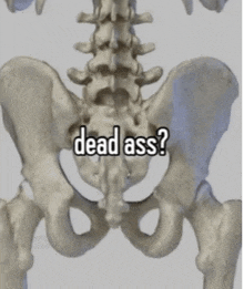 a skeleton has the words dead ass written on it