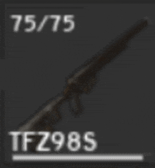 a picture of a shotgun with the number 75/75