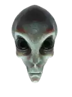 a close up of an alien 's head with big black eyes