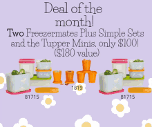 a deal of the month for two freezermates plus simple sets and the tupper minis