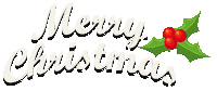 a merry christmas sign with holly and berries on it