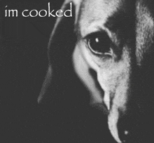 a black and white photo of a dog with the words " im cooked " above it