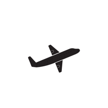 a black silhouette of an airplane with the letter p on the tail