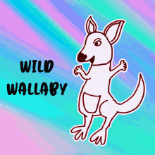 a drawing of a kangaroo with the words wild wallaby underneath it