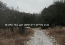 a snowy path in the woods with the words " id rather hear your silence over anyone else 's voice "