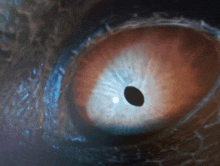 a close up of a person 's eye with a black spot in the center