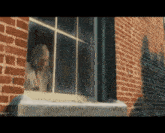 a man is looking out of a brick building window .