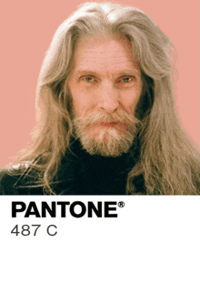 a man with long grey hair and a beard is on a pantone color palette