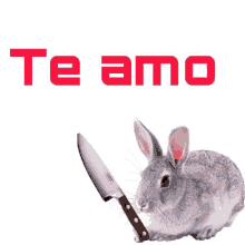 a rabbit is holding a knife with the words te amo written above it