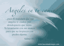 a picture of a feather with a quote in spanish