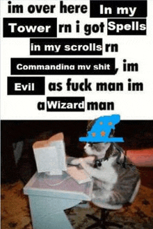 a cat is sitting at a desk in front of a computer with a wizard hat on .