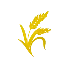 a cartoon drawing of a wheat plant with leaves on a white background