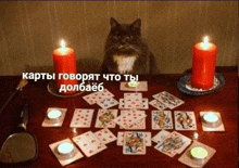 a cat is sitting at a table with candles and cards .