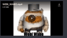 a screenshot of a video that says webi_wabo.mp4