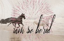 two horses running on a beach with the words " i am so bored " above them