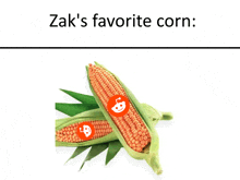 a picture of two corn on the cob with the words zak 's favorite corn