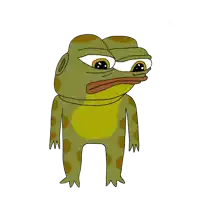 a green frog with brown spots on it 's body stands on a white background