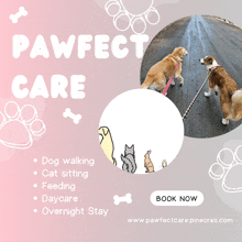 an ad for pawfect care shows dogs and cats