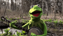 kermit the frog is playing a banjo in a stream