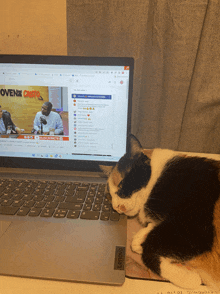 a cat laying on top of a lenovo laptop with owens cristo on the screen