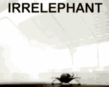 a picture of an elephant jumping on a trampoline with the words " irrelephant " written above it