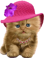 a kitten wearing a pink hat and necklace with a flower on it