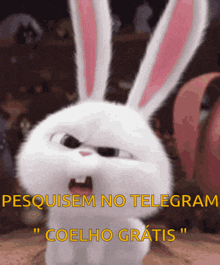 a white rabbit with the words " pesquisam no telegram coelho gratis " on the bottom