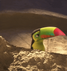 a colorful bird with a red beak is sitting in a hole in the ground