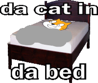 a bed with a cat on it and the words " da cat in da bed "