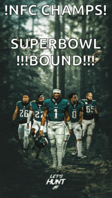 a poster for the nfl champions super bowl