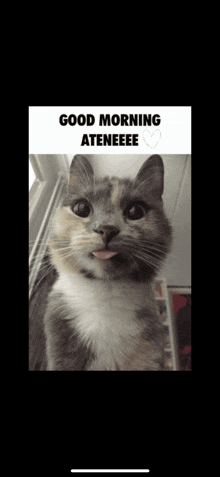 a cat with its tongue sticking out and the words good morning ateneeee