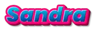 the word sandra is written in pink and blue