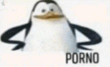 a blurry picture of a penguin with the word porno on the bottom .