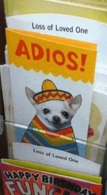 a greeting card with a chihuahua wearing a sombrero