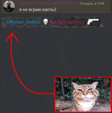 a screenshot of a chat with a picture of a cat and the words " laguna inrizors " at the top