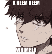 a cartoon of a boy crying with the words a heem heem wimper