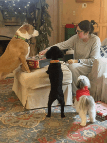 a woman sits on a couch with two dogs looking at a box that says ' pizza ' on it